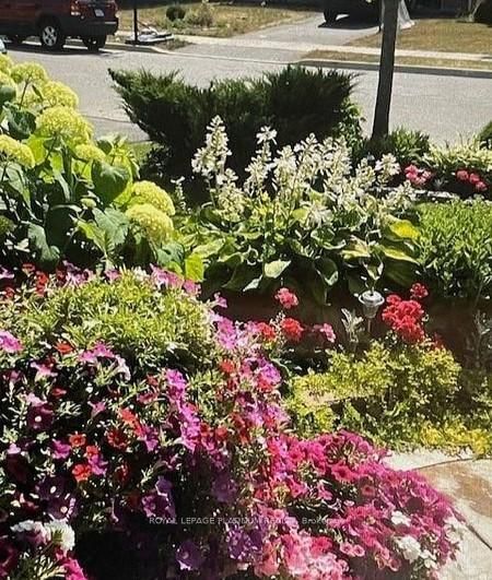 Detached House for sale at 21 Vista Green Crescent, Brampton, Ontario, L7A 2S3 - Fletcher's Meadow - MLS: W12808768