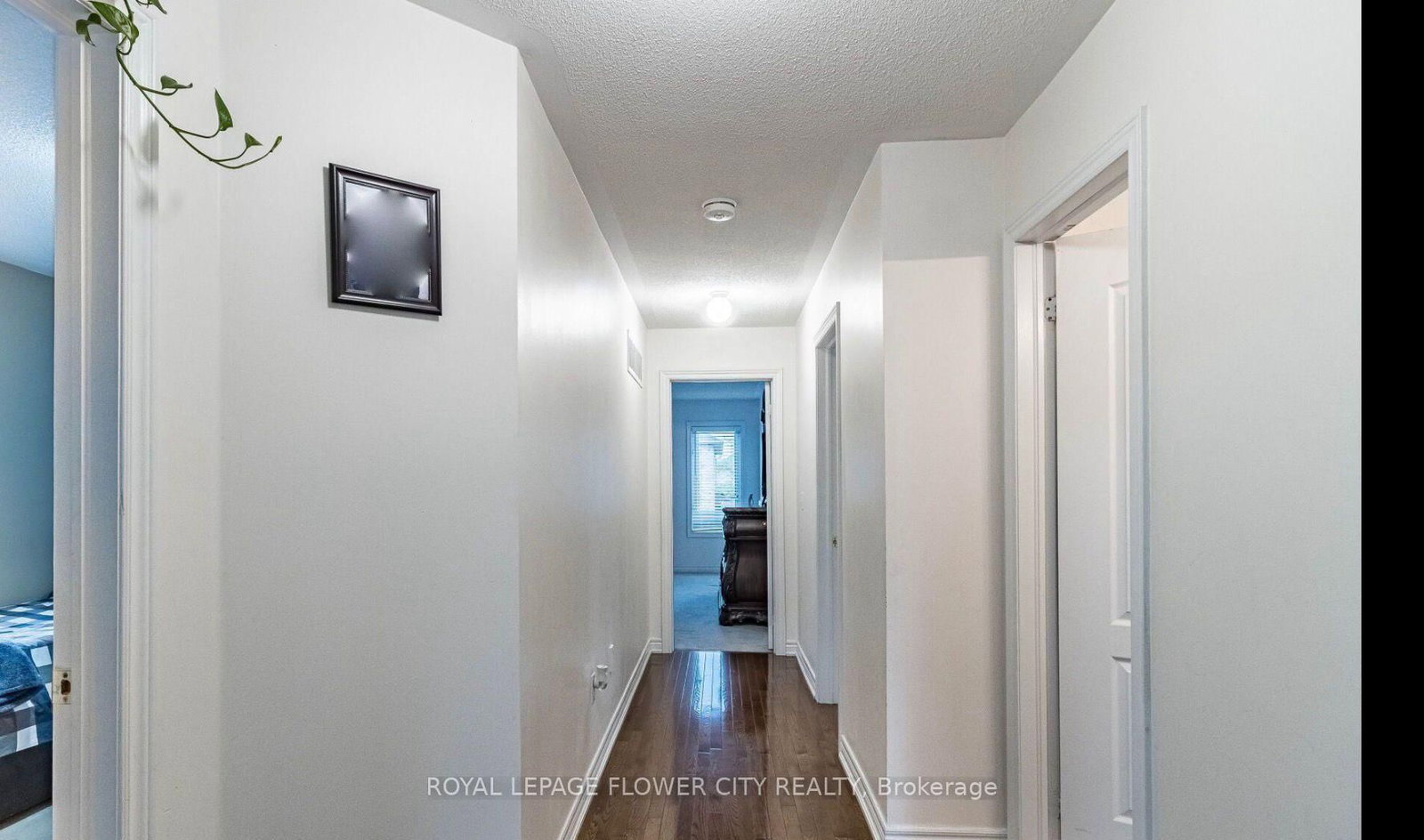 Detached House for sale at 24 Mellowood Avenue, Brampton, Ontario, L6P 2P2 - Bram East - MLS: W12820864