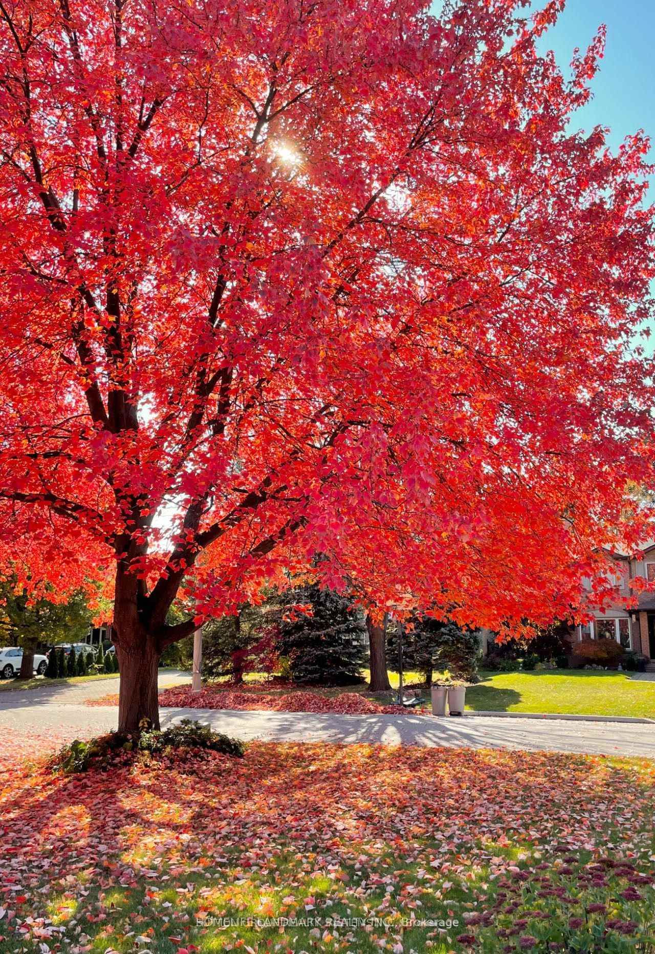 3377 Cider Mill Place, Unit Room 1 Basement - Photo 12