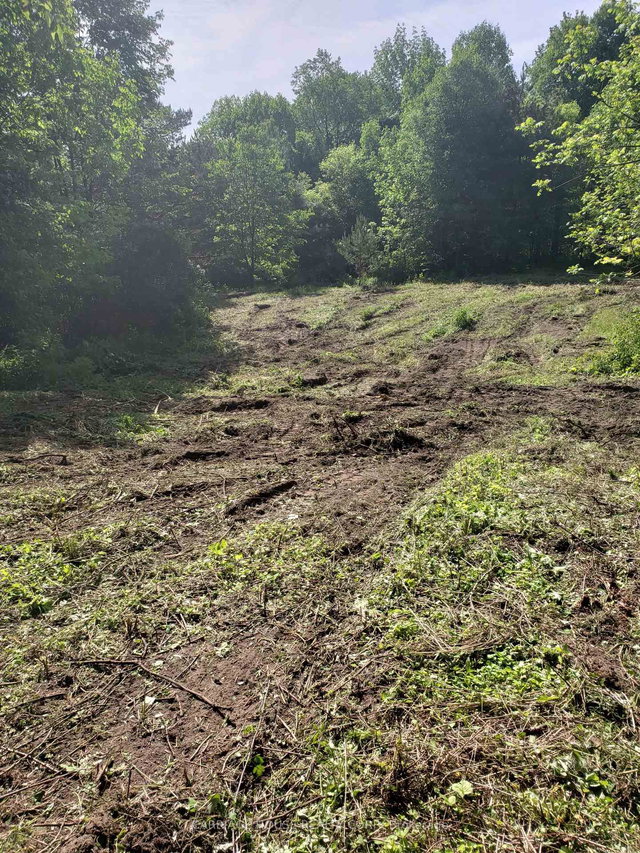 19904 - Part 3 Main Street