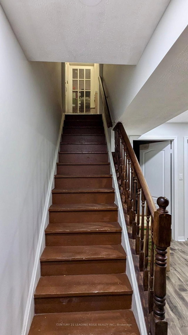 BSMNT - 6 Honeybee Drive