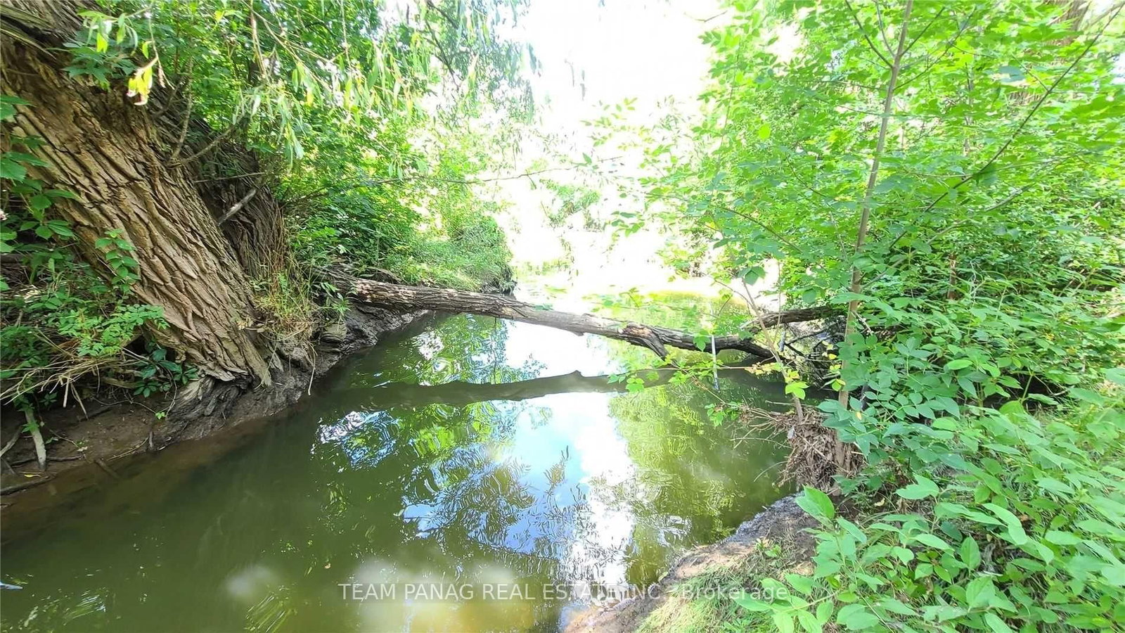 Semi-Detached House for sale at 55 Fairglen Avenue, Brampton, Ontario, L6X 1K7 - Bram West - MLS: W12833726