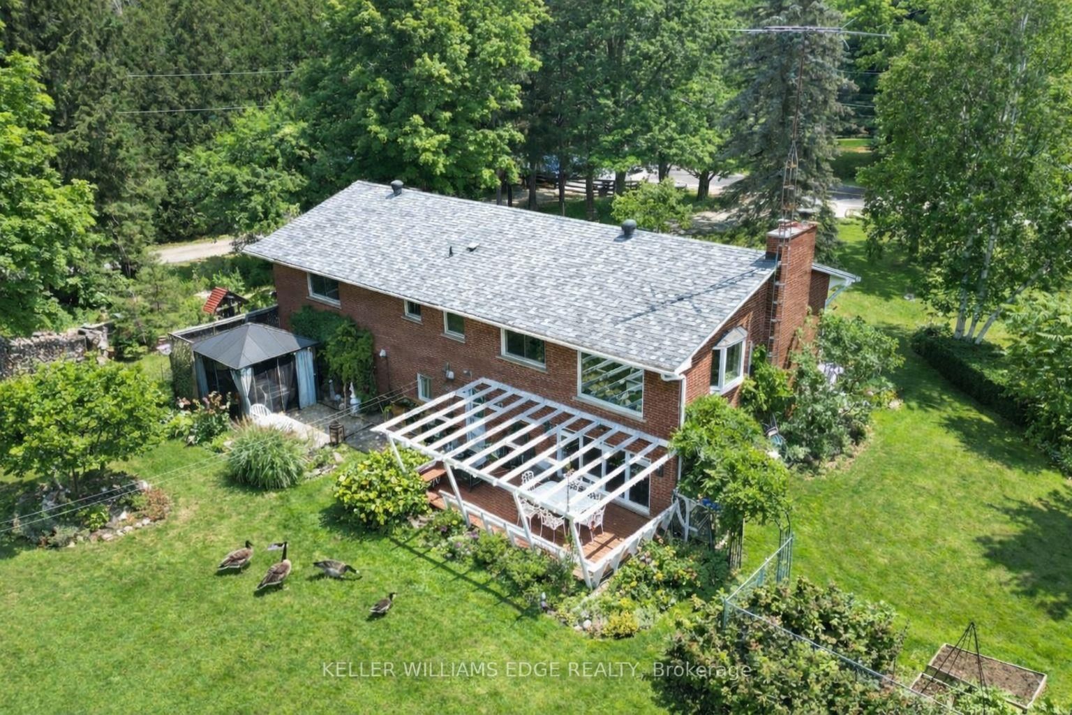 Listing Image 45