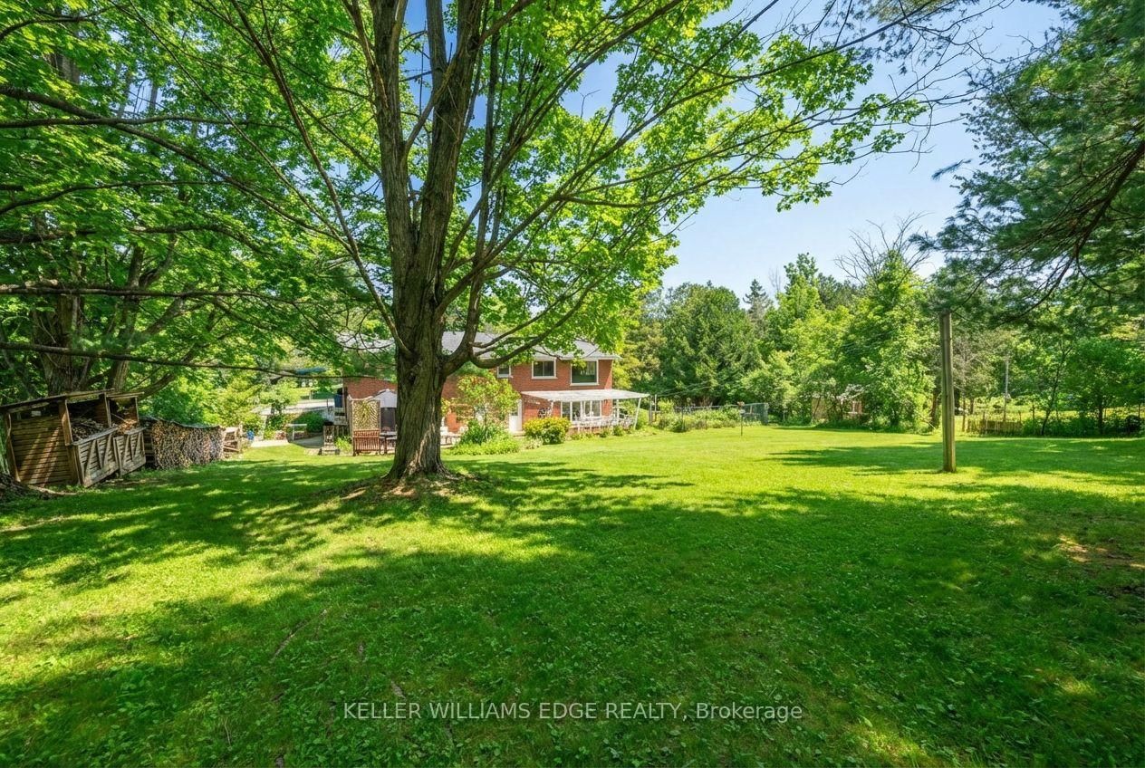 Listing Image 47
