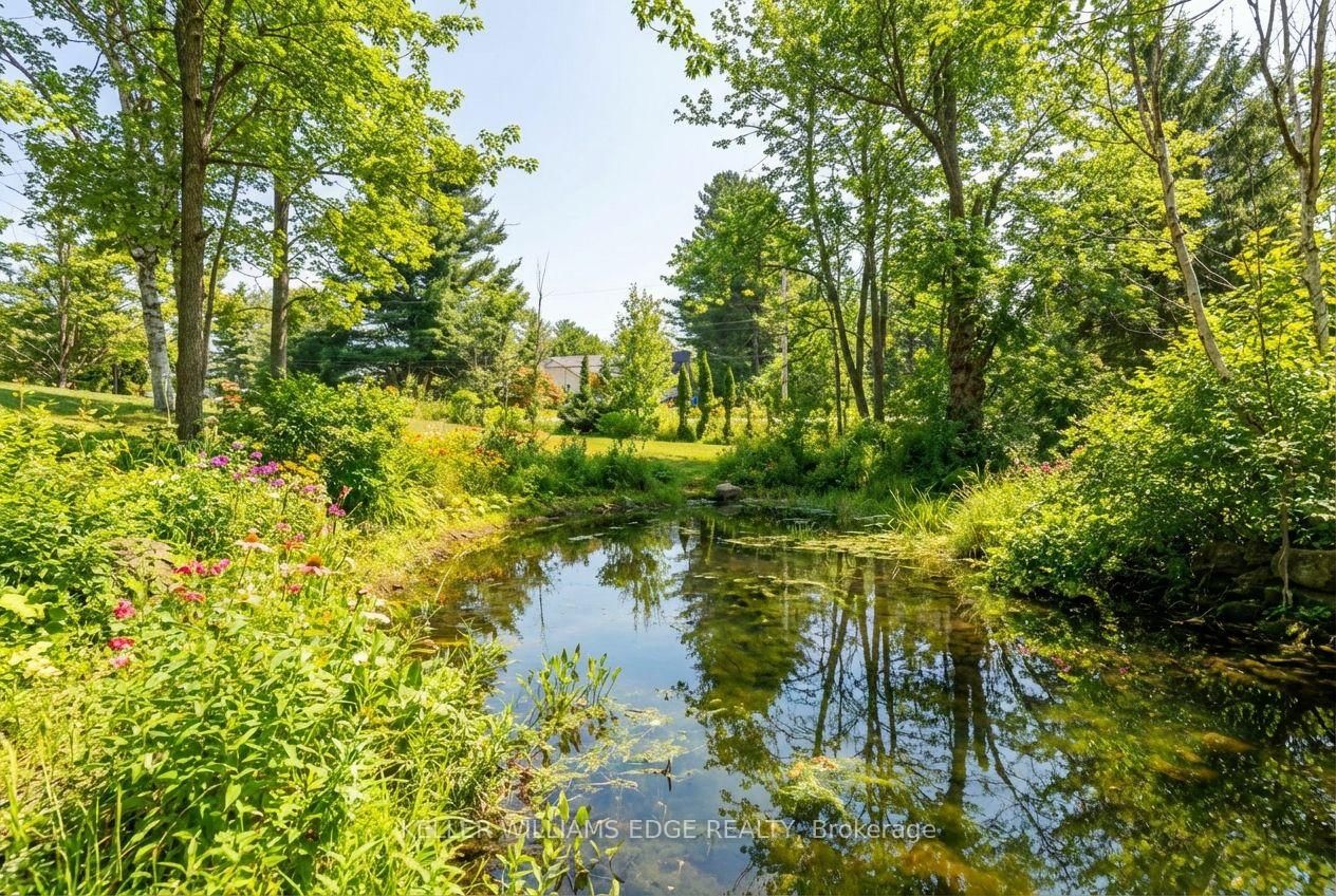 Listing Image 49