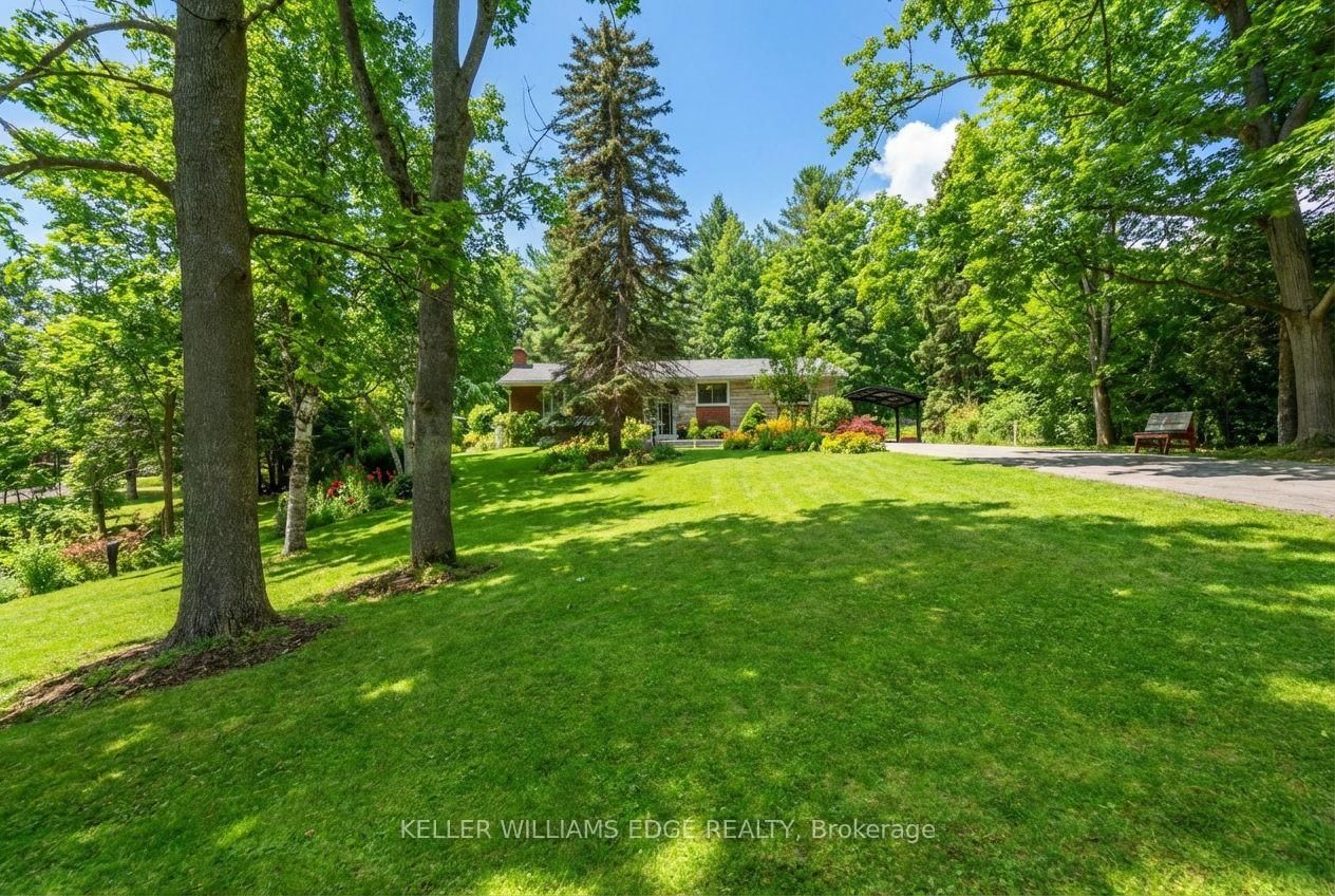 Listing Image 50