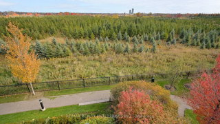 210 - 65 Yorkland Boulevard