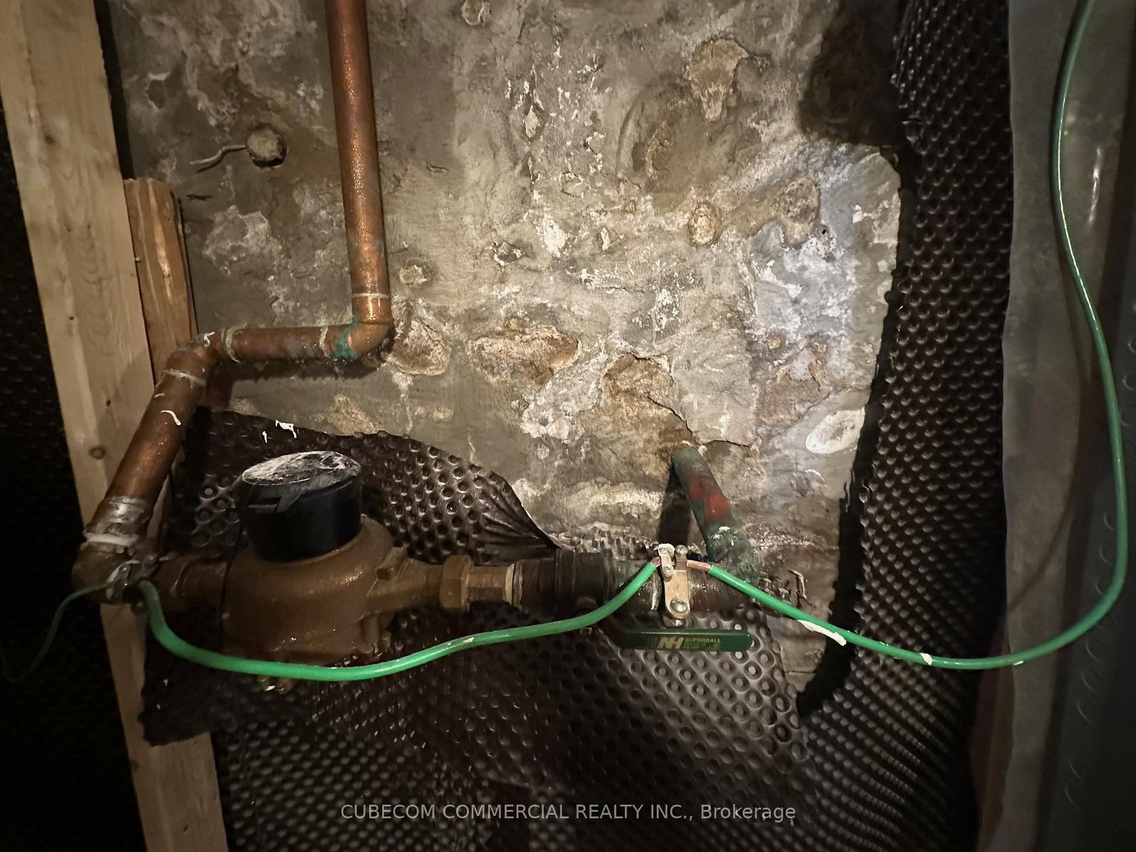 2219 Dundas Street W - Photo 19