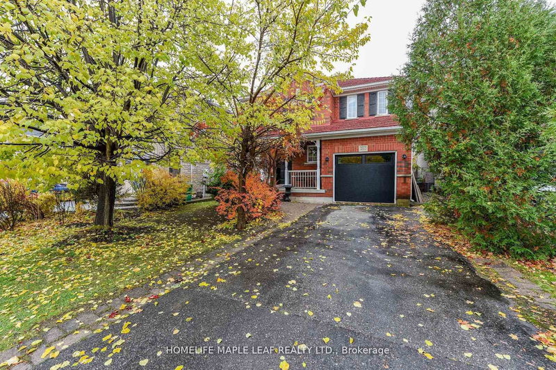 250 Brisdale Dr, Brampton, L7A 2T3 | Image 3