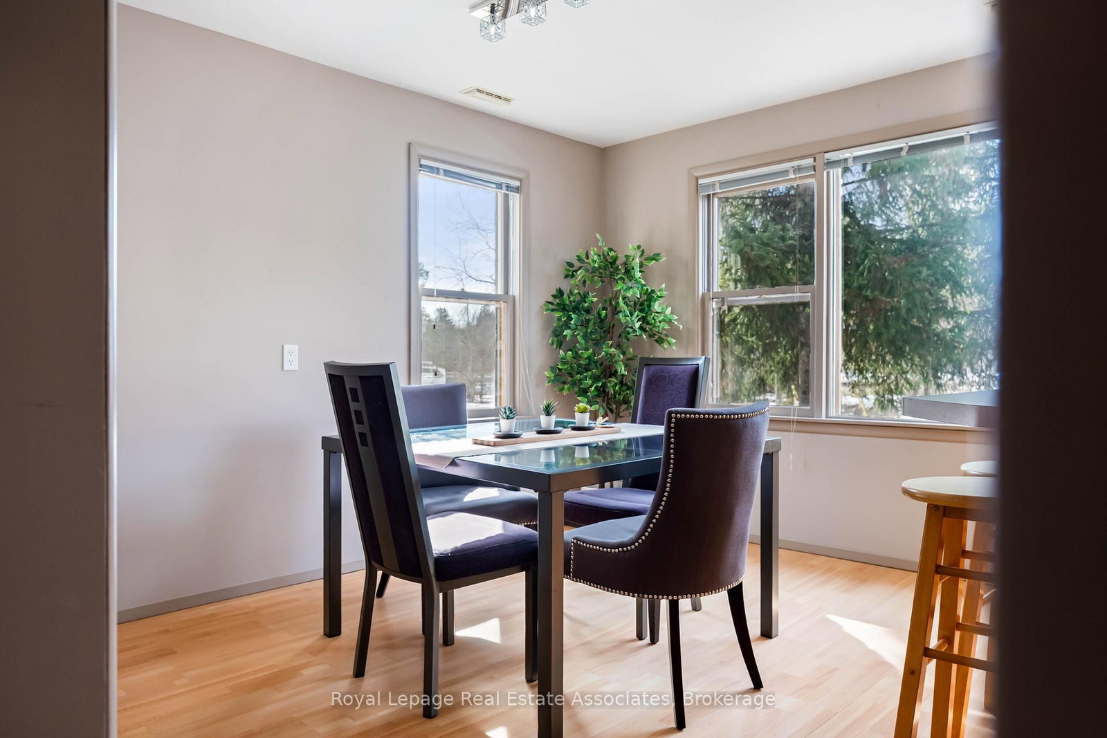 Detached House for sale at 8 Ann Street, Halton Hills, Ontario, L7G 2V2 - Georgetown - MLS: W12871886