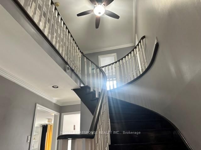 Detached House for sale at 16 Cochrane Avenue, Brampton, Ontario, L6Z 4J4 - Heart Lake East - MLS: W12873446