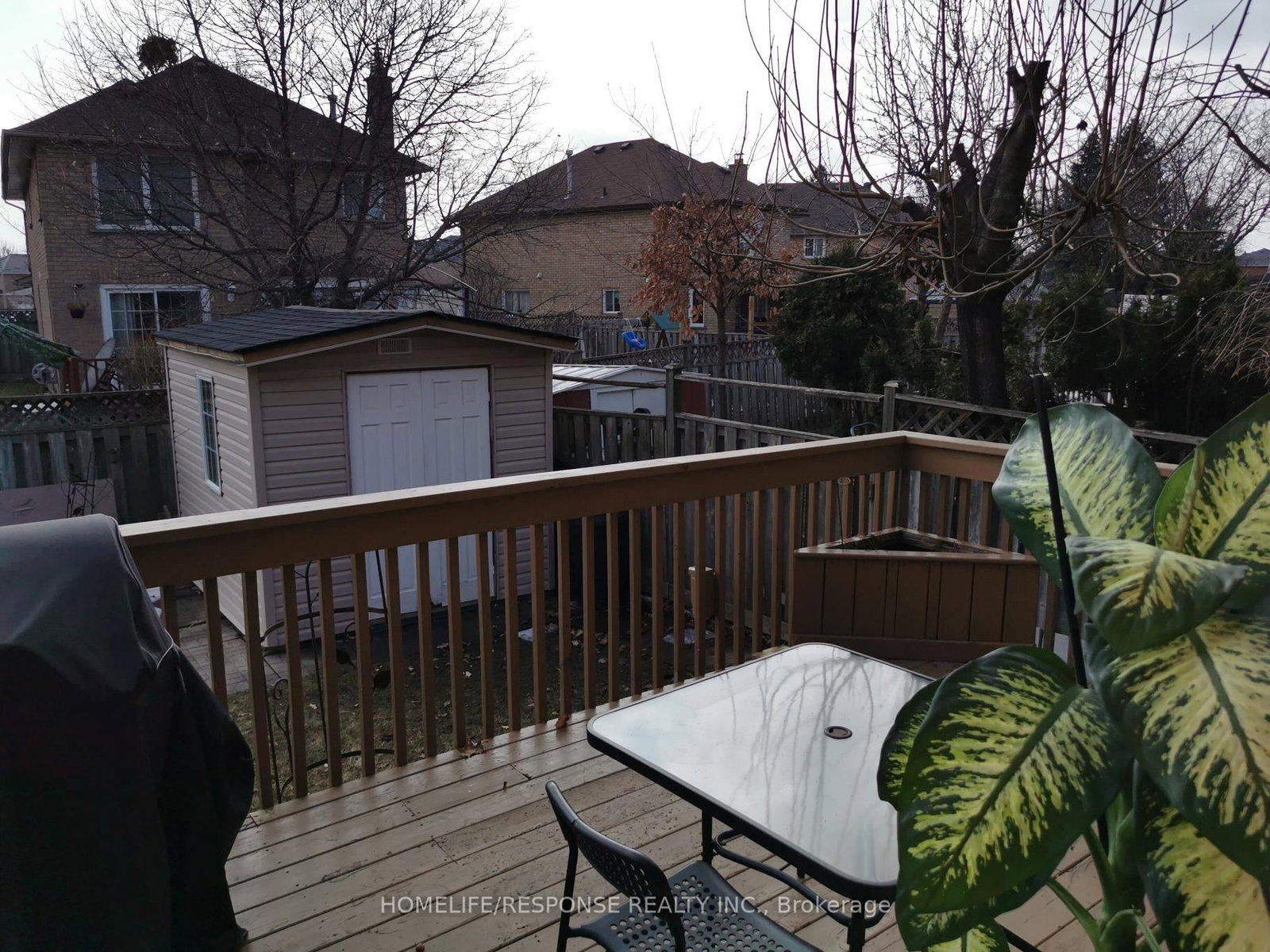 Detached House for sale at 16 Cochrane Avenue, Brampton, Ontario, L6Z 4J4 - Heart Lake East - MLS: W12873446