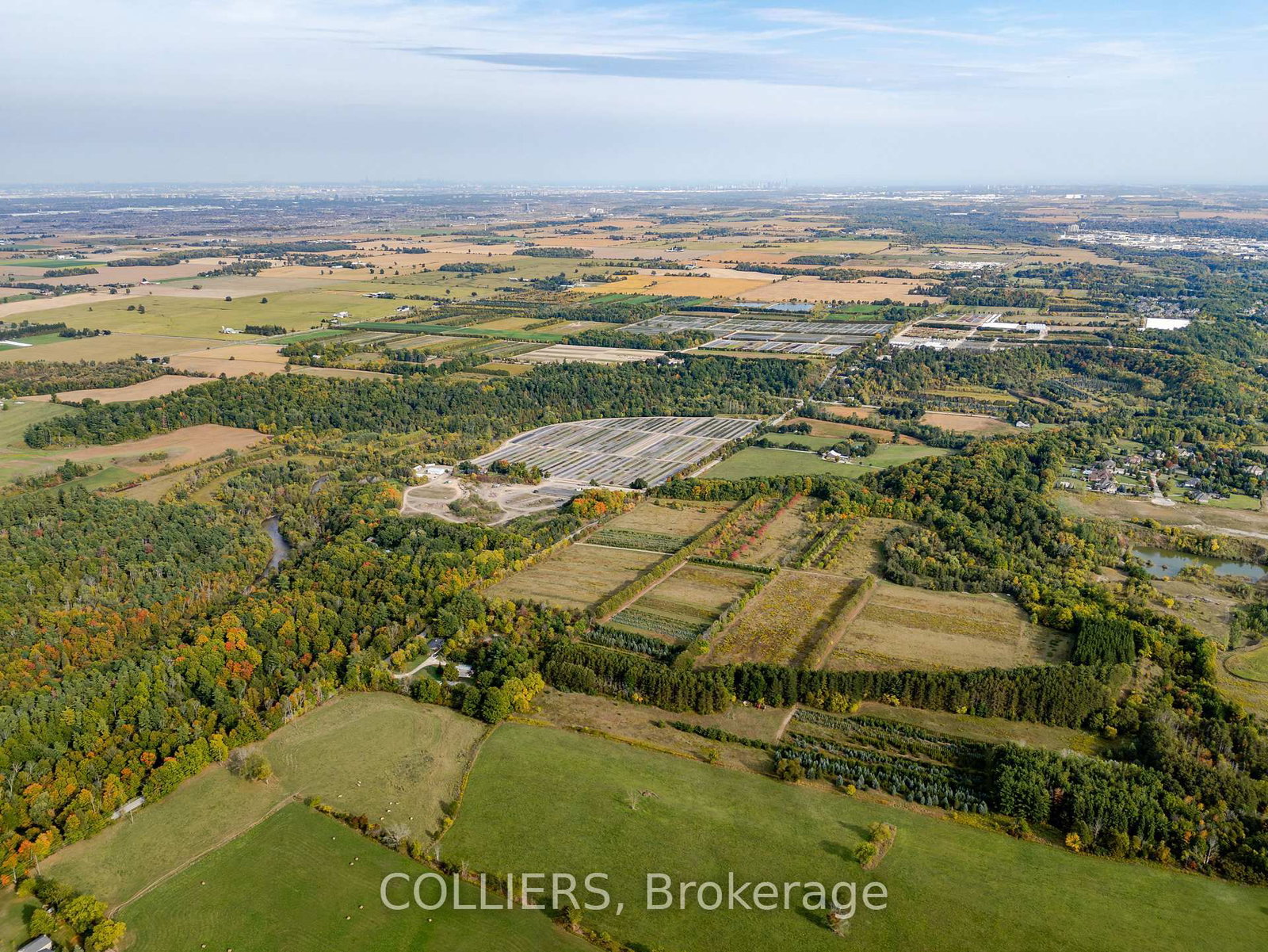 12302 10th Line - Photo 4