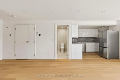 Lower - 250 HALLAM St | Toronto | Image