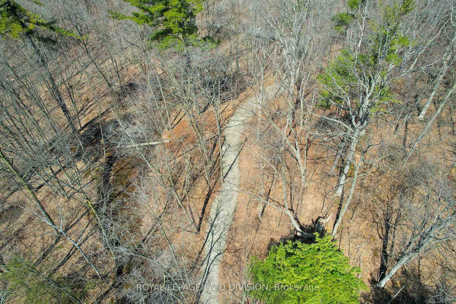 365 Lynn Place - Photo 50