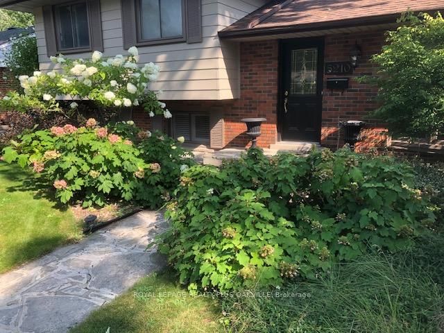 Listing Image 49