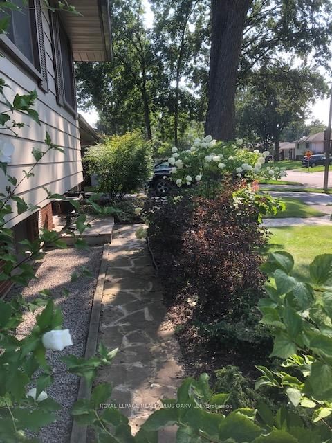 Listing Image 50