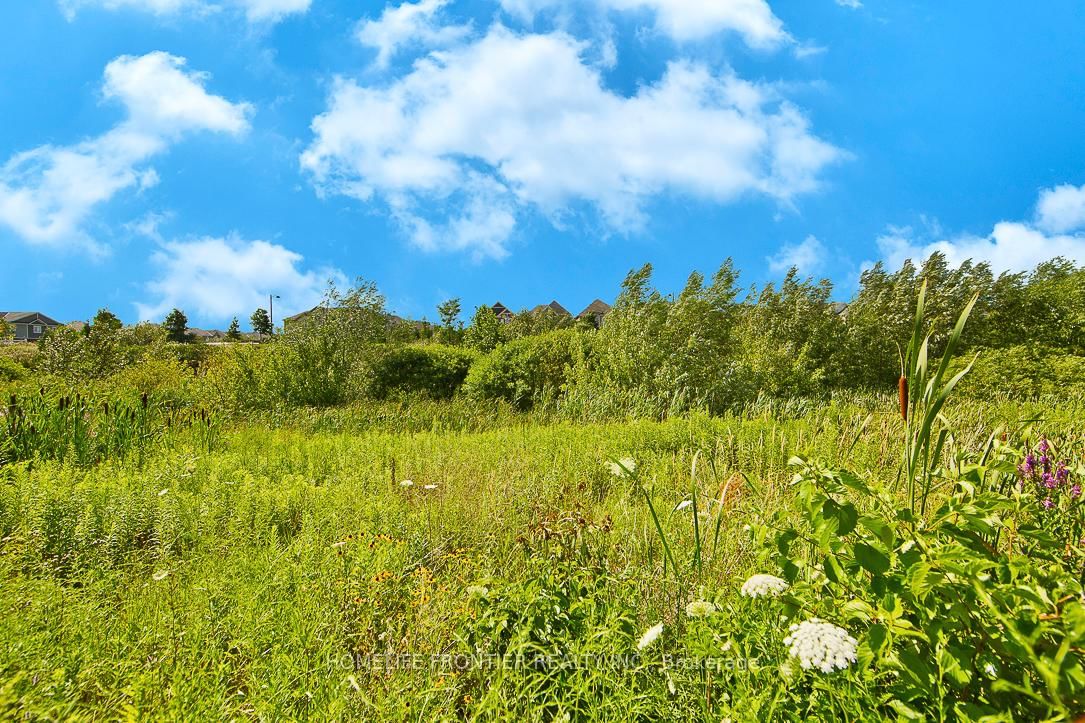 Detached House for lease at Lower-311 Hinton Terrace, Milton, Ontario, L9E 1C8 - Ford - MLS: W12903542