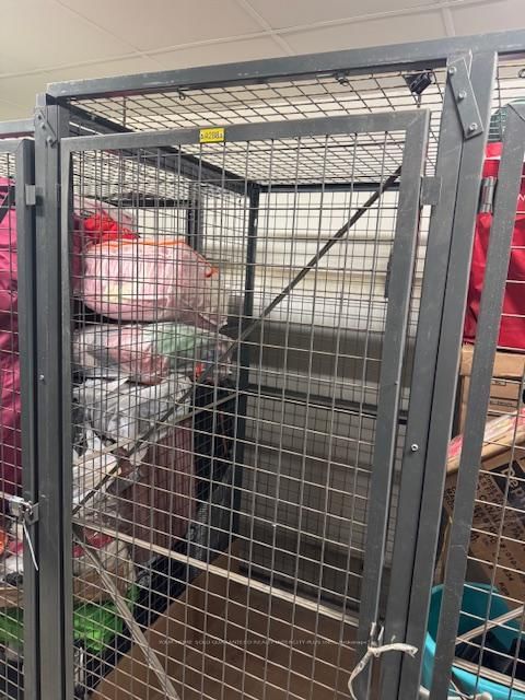 3033 Finch Avenue W, Unit 2039 - Photo 12