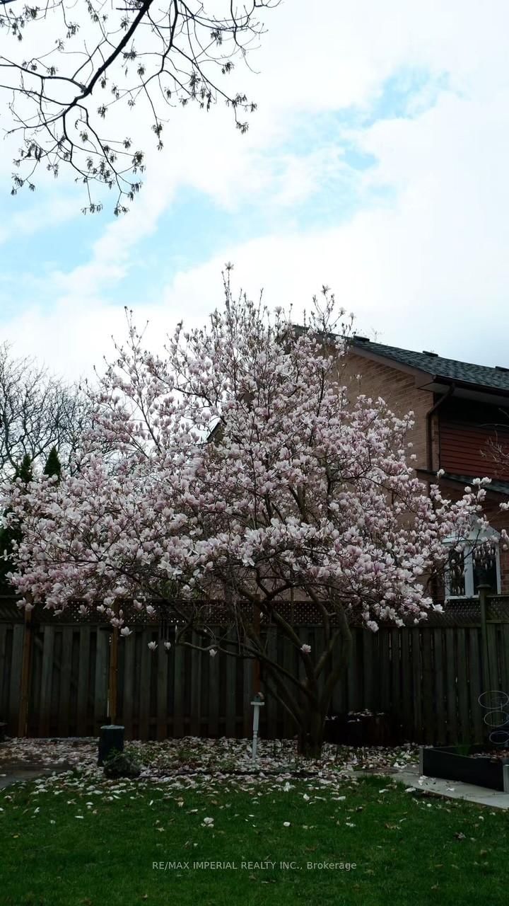 140 Romain Crescent - Photo 46