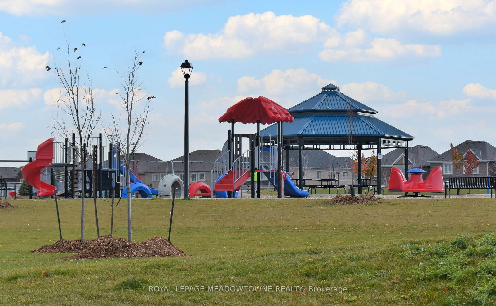 Detached House for lease at BSMT-103 Goodwin Crescent, Milton, Ontario, L9E 1H9 - Ford - MLS: W12935706