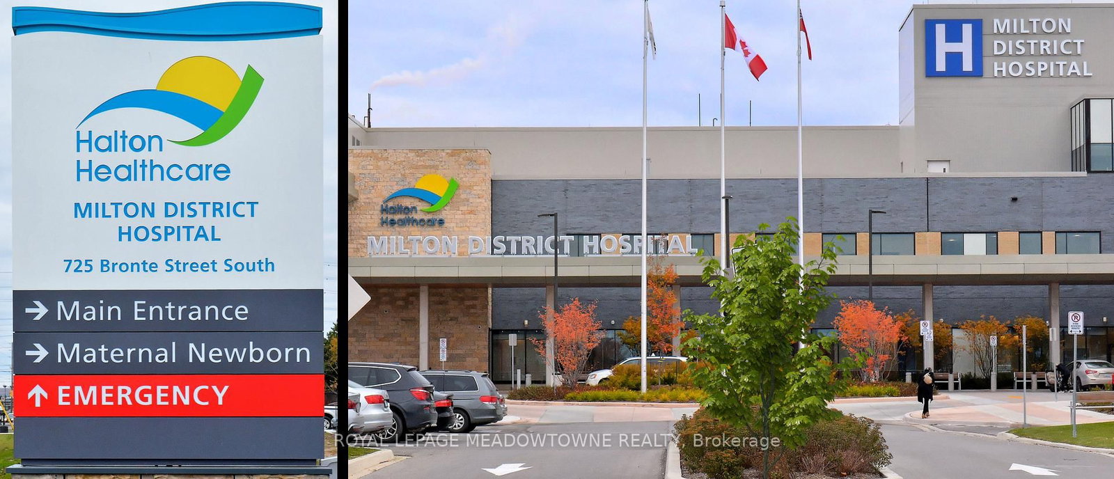 Detached House for lease at BSMT-103 Goodwin Crescent, Milton, Ontario, L9E 1H9 - Ford - MLS: W12935706