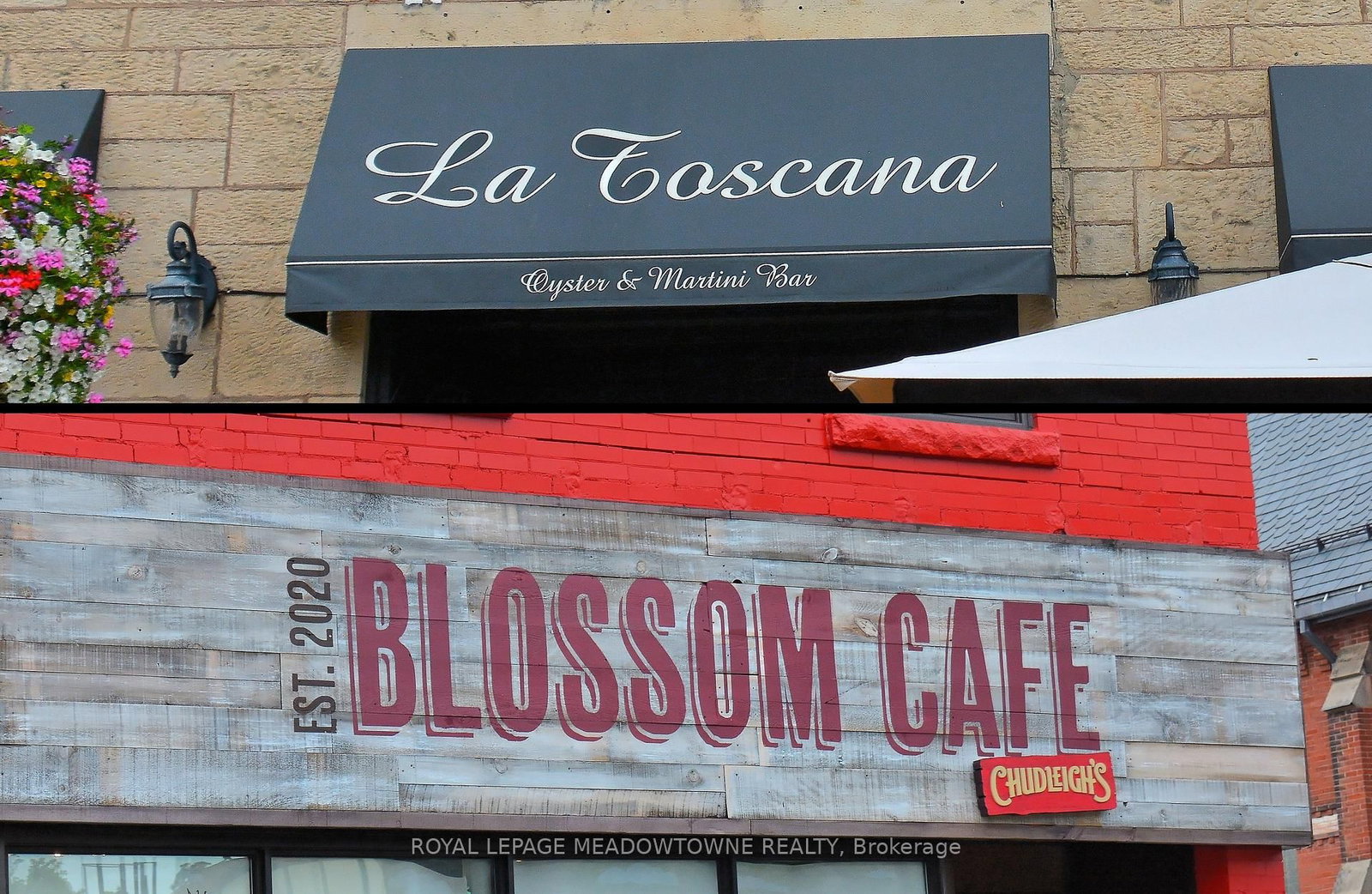 Detached House for lease at BSMT-103 Goodwin Crescent, Milton, Ontario, L9E 1H9 - Ford - MLS: W12935706