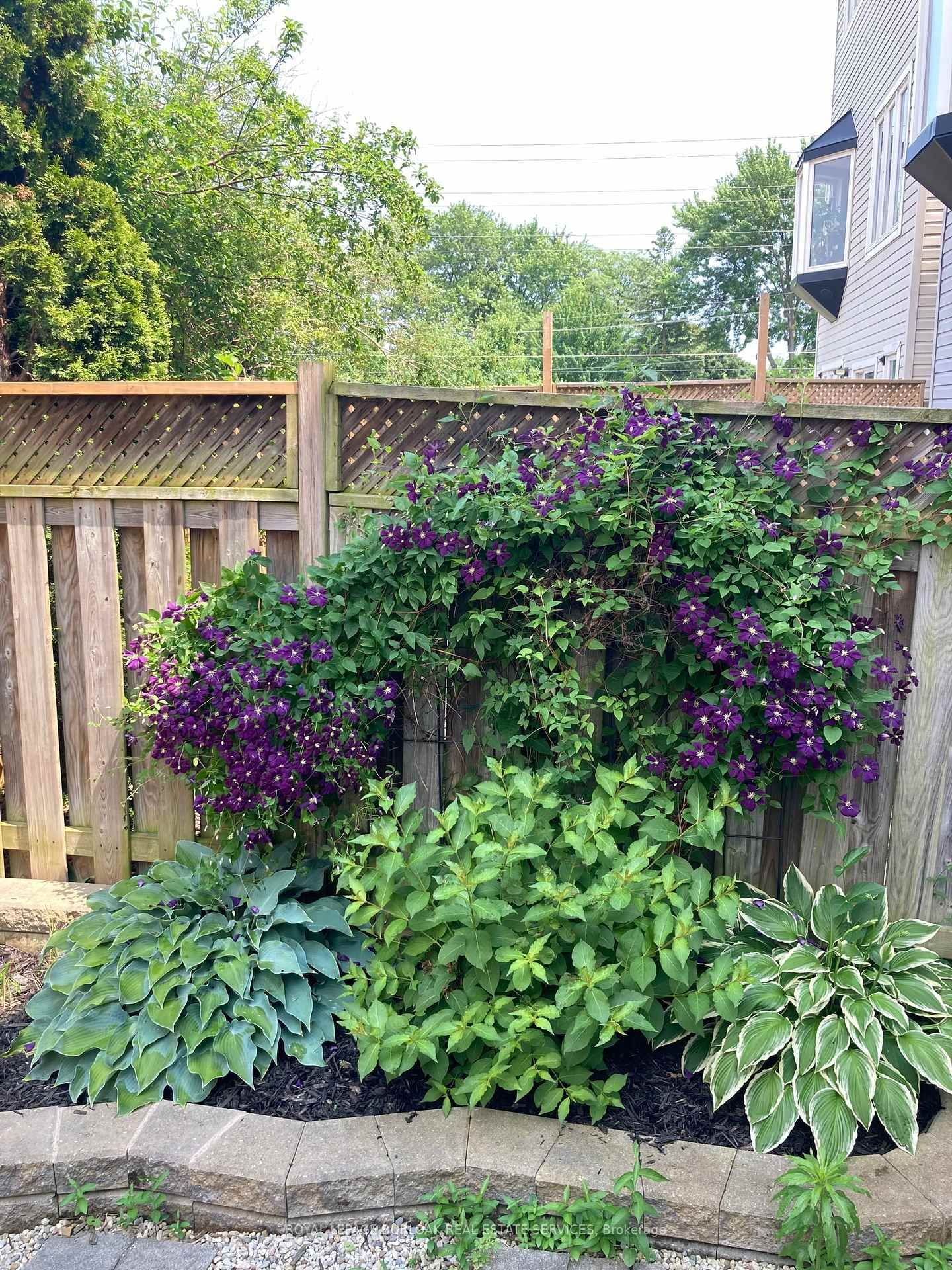 Detached House for sale at 6-5110 Fairview Street, Burlington, Ontario, L7L 7H6 - Appleby - MLS: W12950252