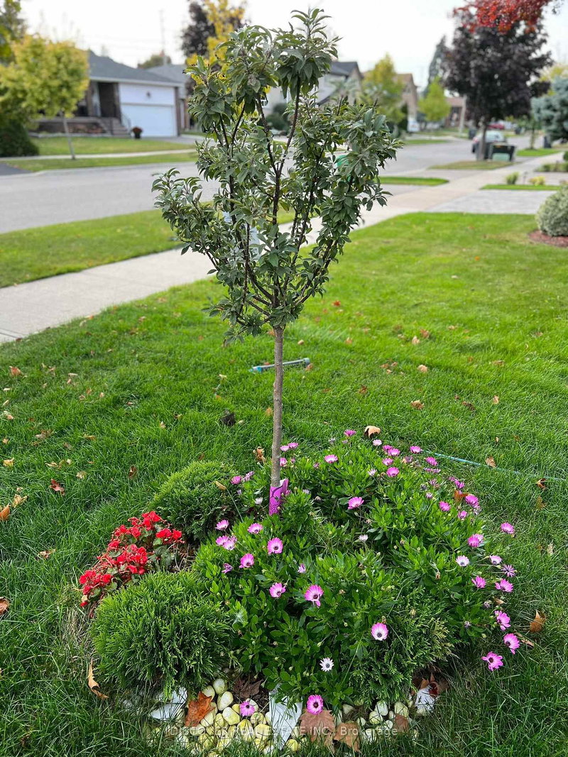 main floor only - 525 Cullen Ave, Mississauga, L5B 2M8 | Image 3