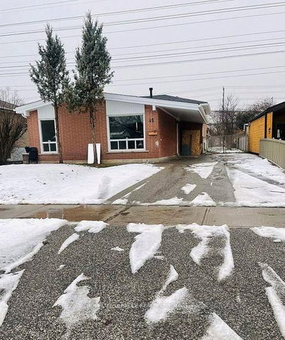 Bsmt - 45 Elmvale Cres | Toronto | Image