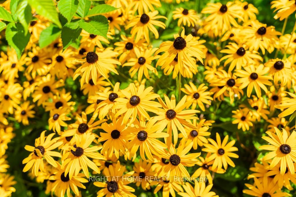 Detached House for sale at 3300 Redmond Road, Mississauga, Ontario, L5B 3X1 - Fairview - MLS: W12979324