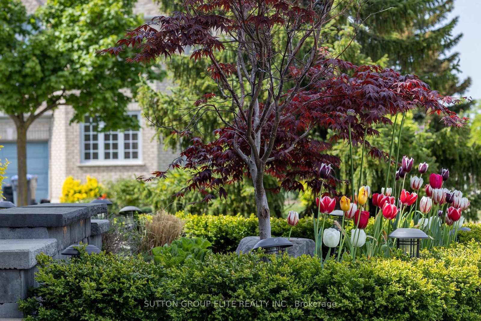 2768 Peacock Drive - Photo 39