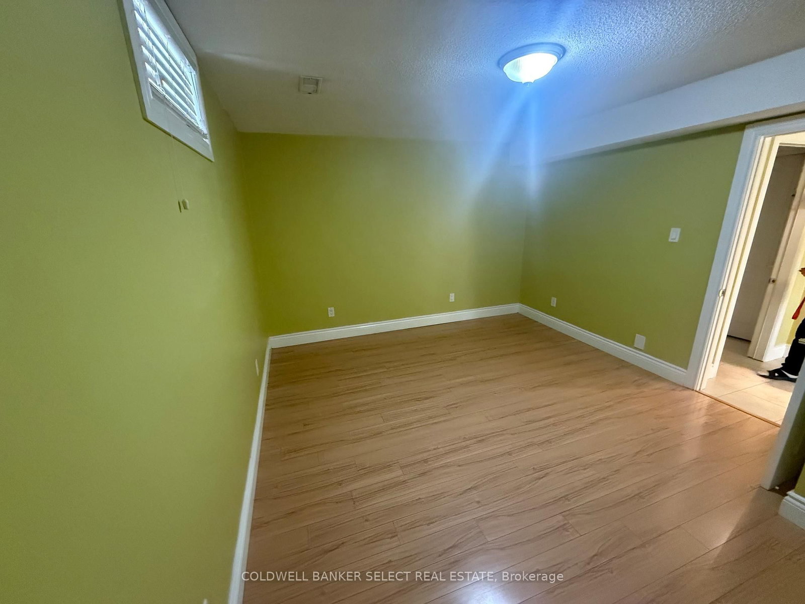 13 Gray Park Drive, Unit Lower - Photo 6