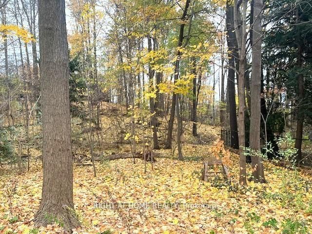 Detached House for sale at 1445 Ryan Place, Mississauga, Ontario, L5C 1J7 - Erindale - MLS: W12982972