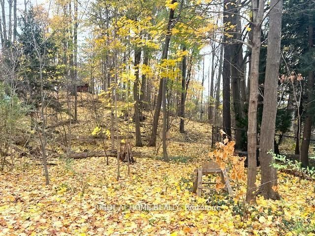 Detached House for sale at 1445 Ryan Place, Mississauga, Ontario, L5C 1J7 - Erindale - MLS: W12982972