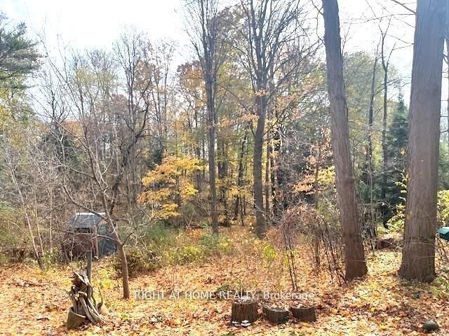 Detached House for sale at 1445 Ryan Place, Mississauga, Ontario, L5C 1J7 - Erindale - MLS: W12982972