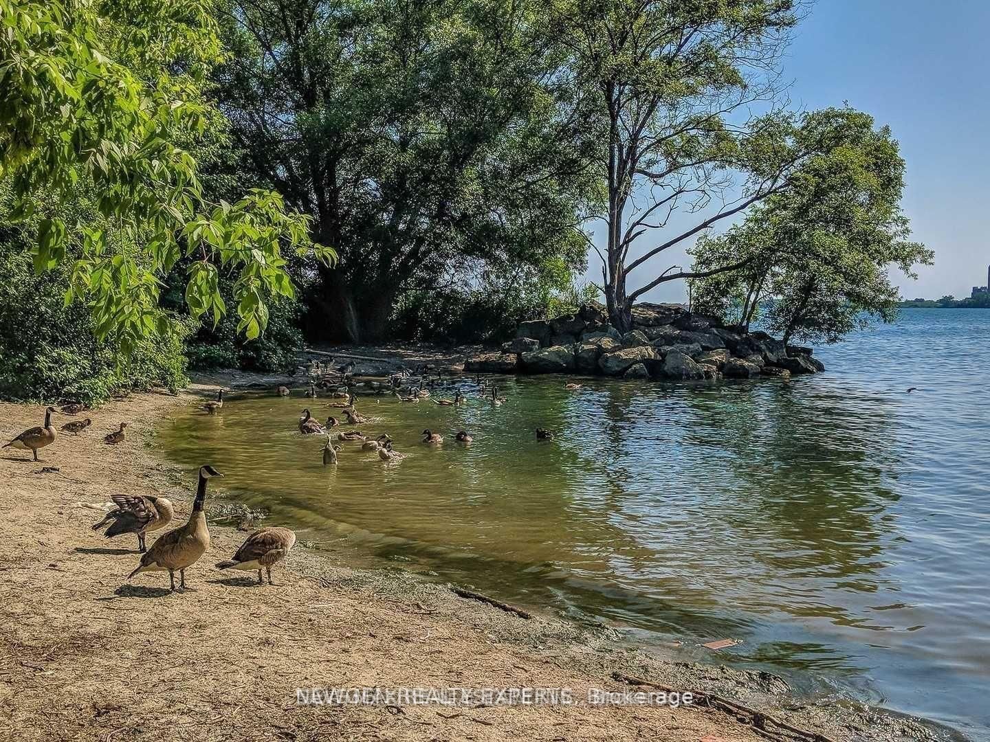 120 Longbranch Avenue, Unit 8 - Photo 17