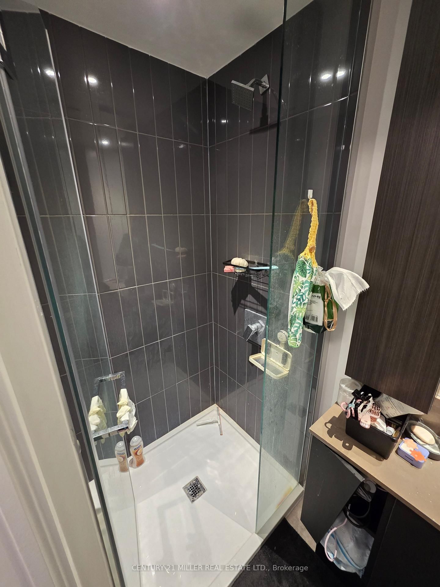 3883 Quartz Road, Unit 3801 - Photo 8