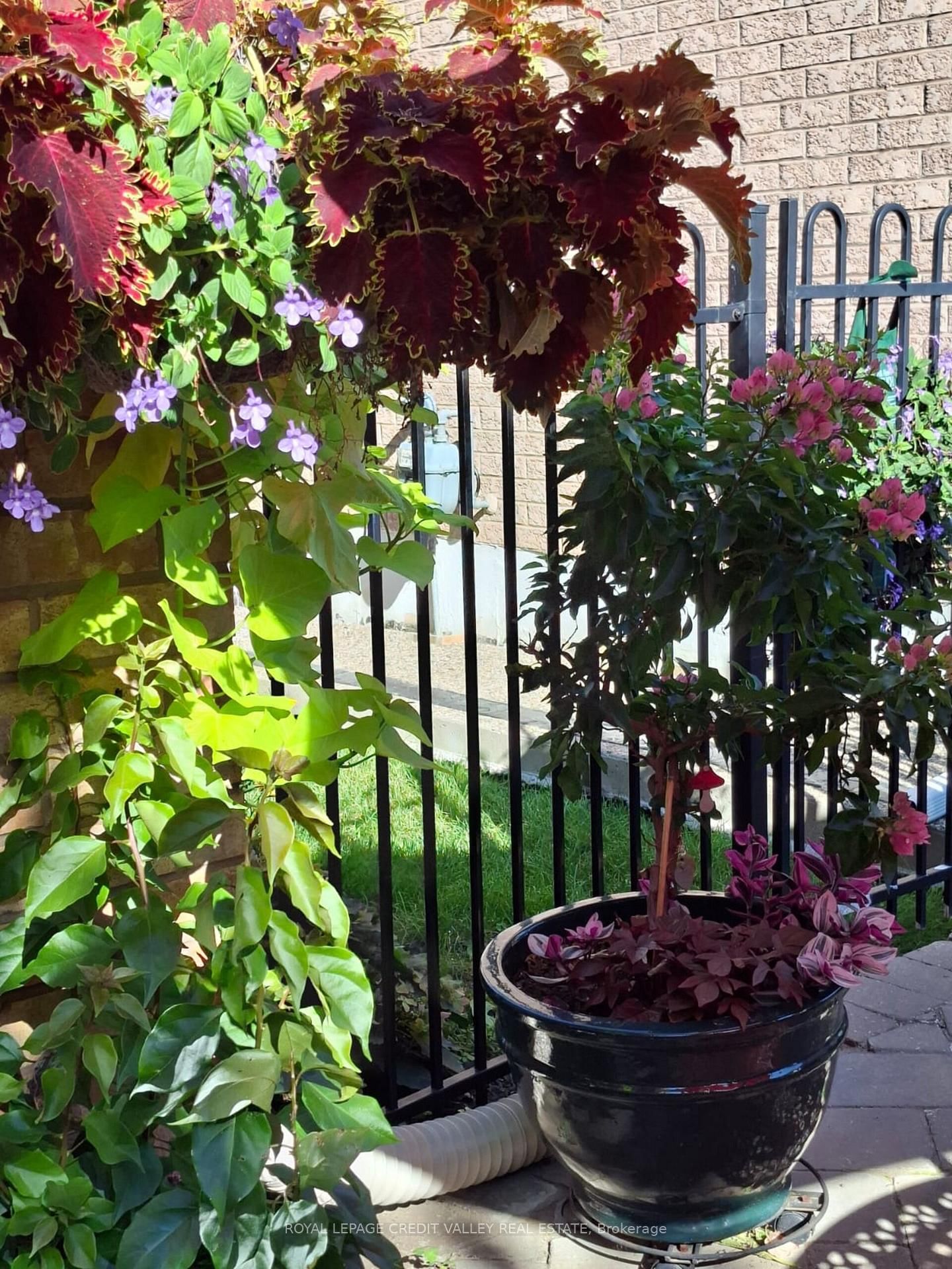 Detached House for sale at 75 Royal Valley Drive, Caledon, Ontario, L7C 1A2 - Rural Caledon - MLS: W12991334