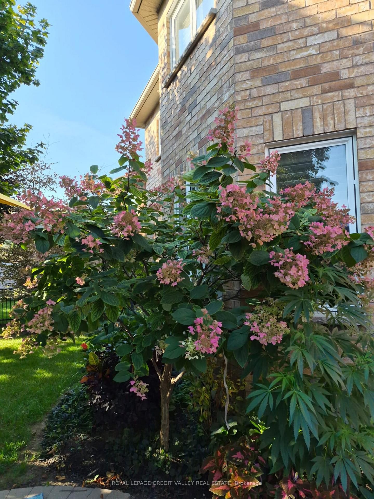 Detached House for sale at 75 Royal Valley Drive, Caledon, Ontario, L7C 1A2 - Rural Caledon - MLS: W12991334