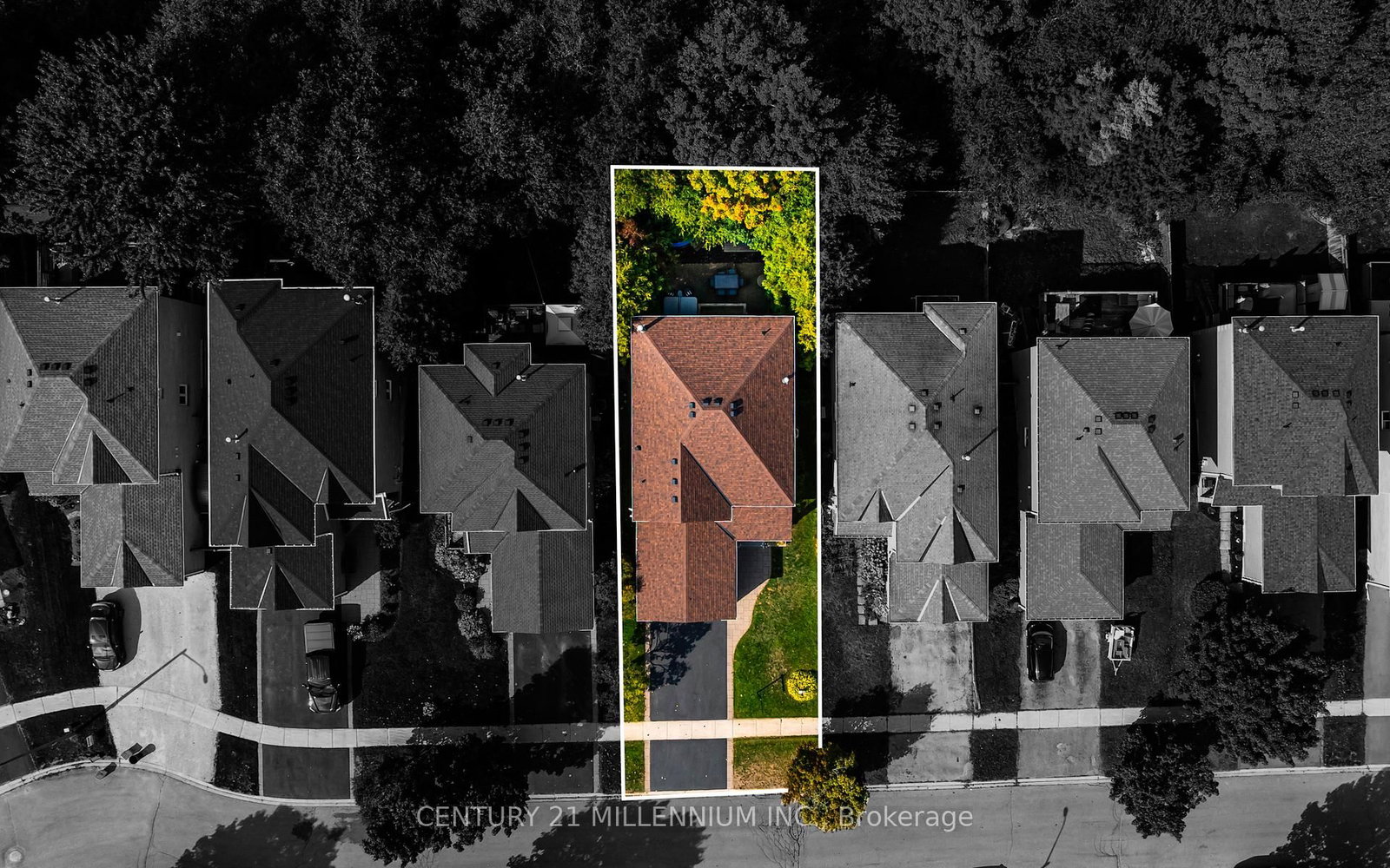 174 Lisa Marie Drive - Photo 43