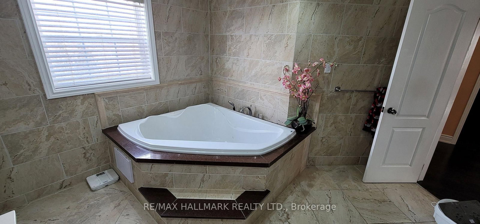 31 Sheepberry Terrace - Photo 32