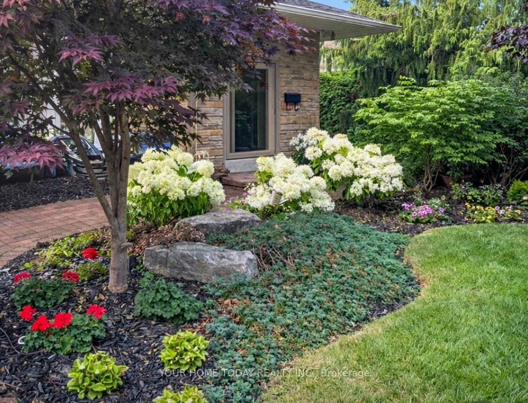 Detached House for sale at 31 Chelvin Drive, Halton Hills, Ontario, L7G 4P8 - Georgetown - MLS: W12996236