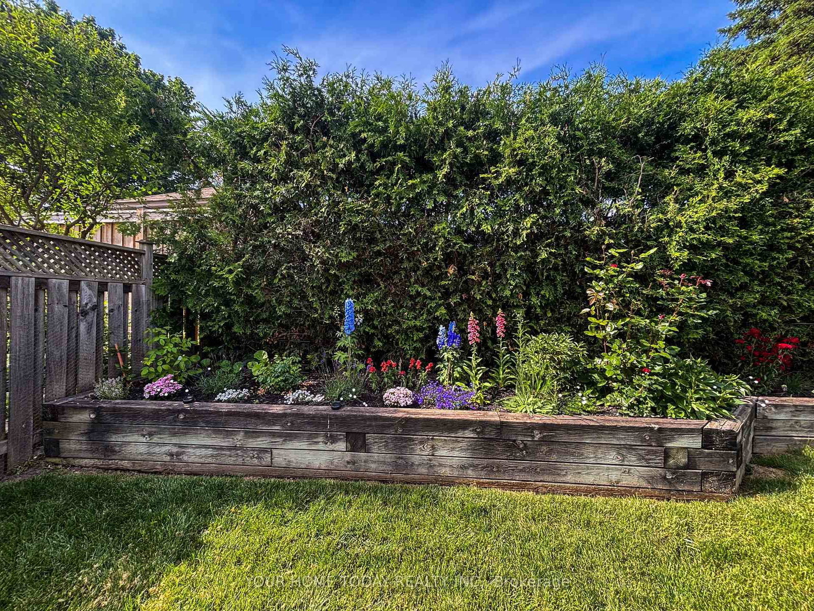 Detached House for sale at 31 Chelvin Drive, Halton Hills, Ontario, L7G 4P8 - Georgetown - MLS: W12996236