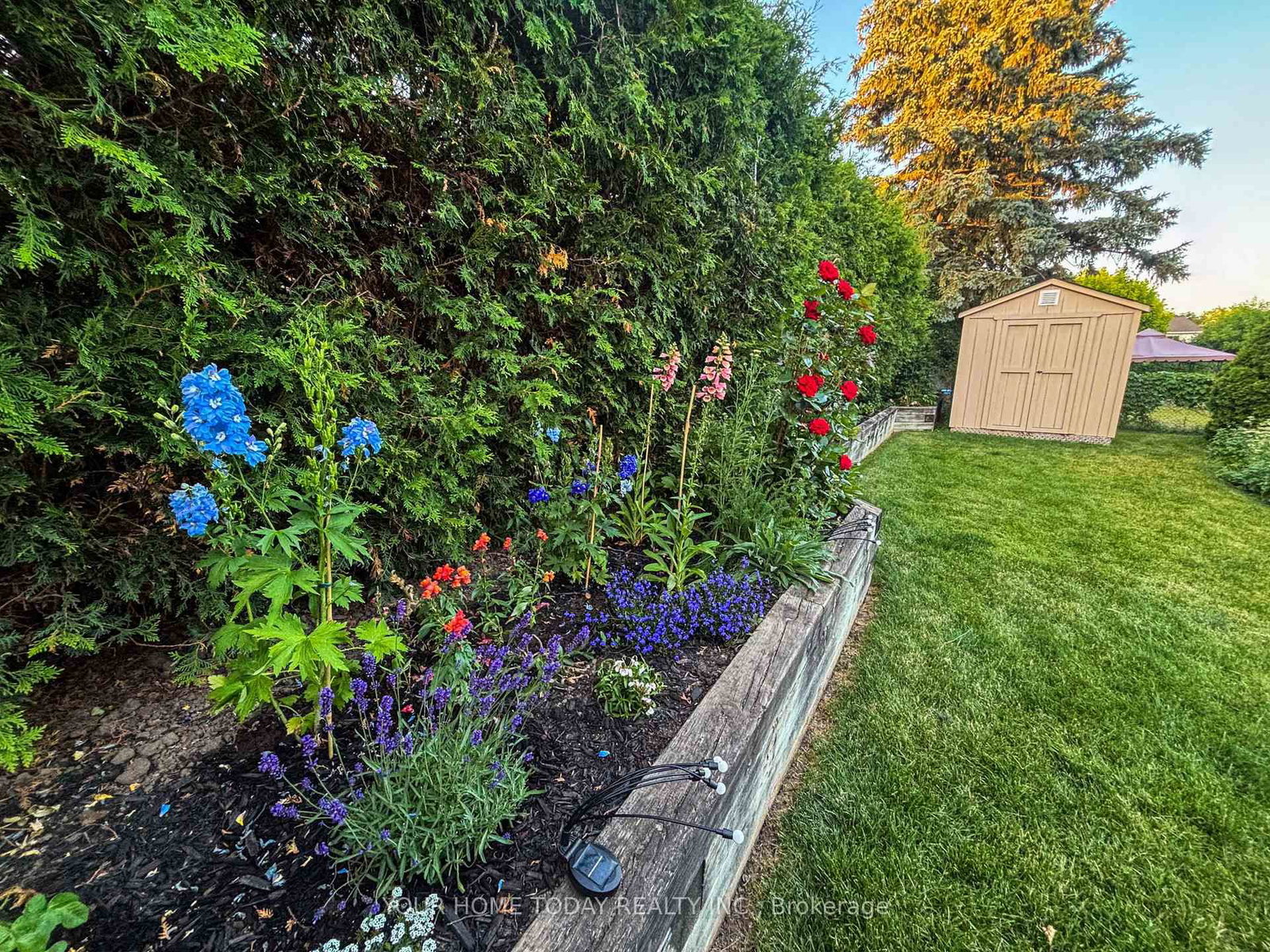 Detached House for sale at 31 Chelvin Drive, Halton Hills, Ontario, L7G 4P8 - Georgetown - MLS: W12996236