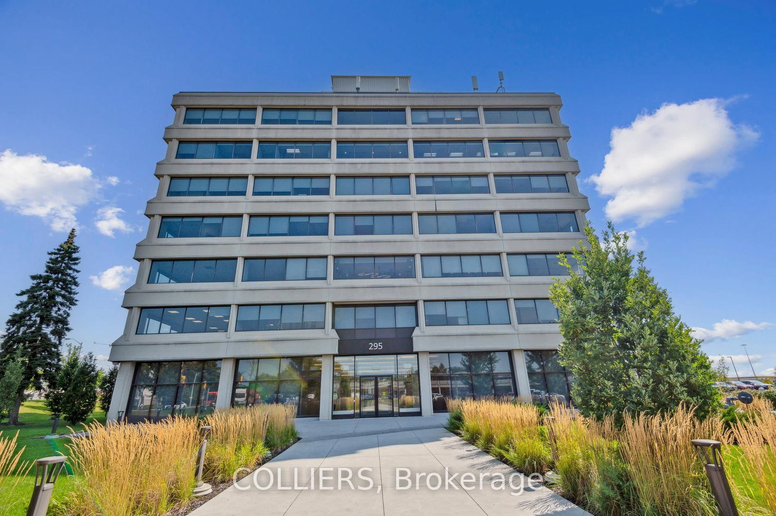 295 The West Mall, Unit 215 - Photo 2