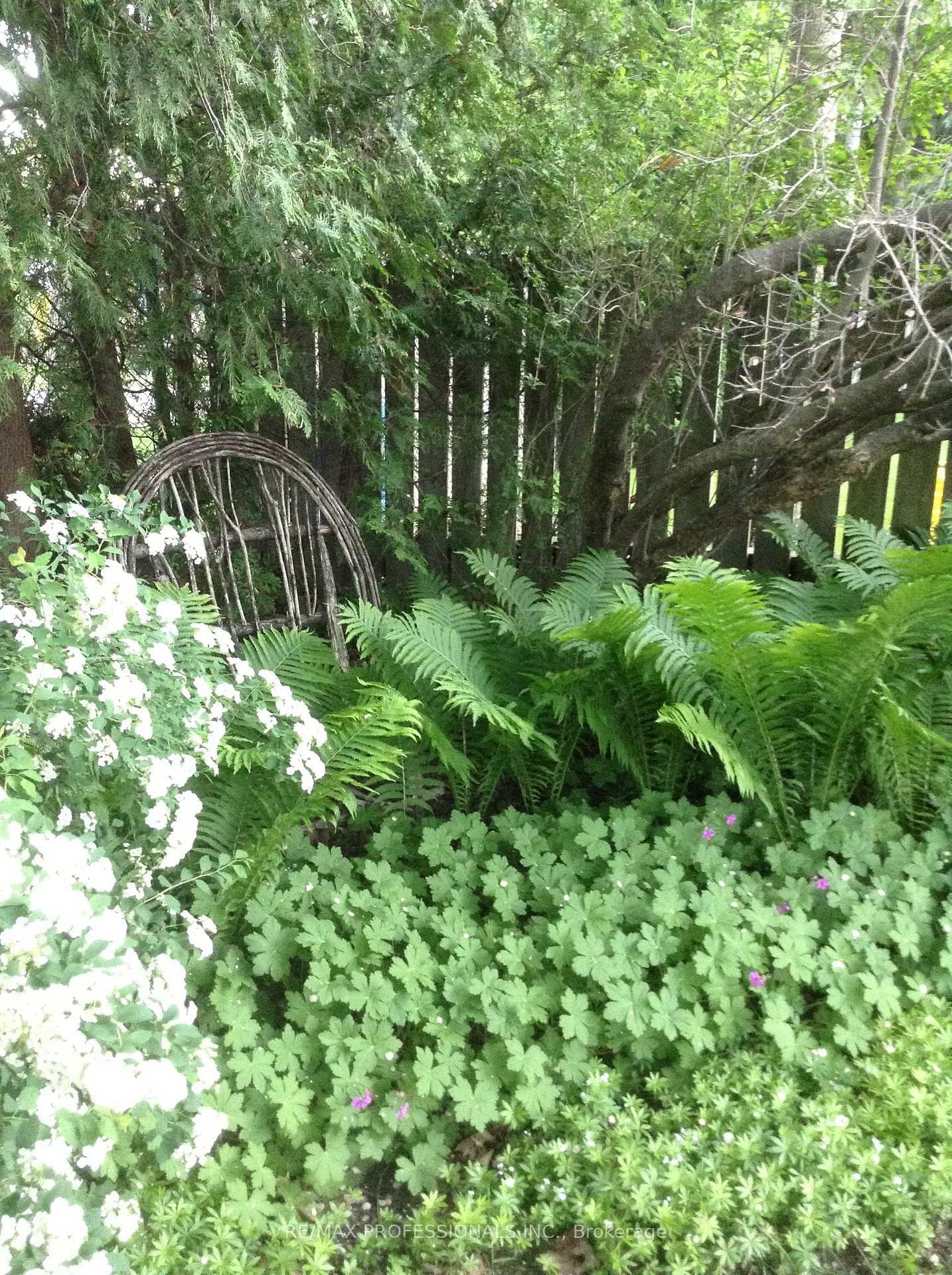 Detached House for sale at 11 Mitcham Drive, Toronto, Ontario, M8W 2J6 - Alderwood - MLS: W12997646