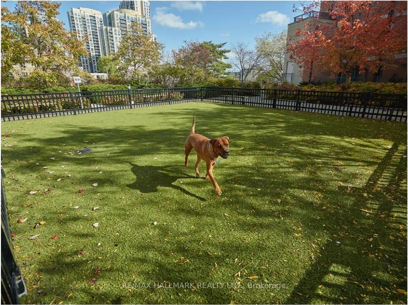 5191 Dundas (7 Summerland Terr) Street W, Unit 1409 - Photo 17