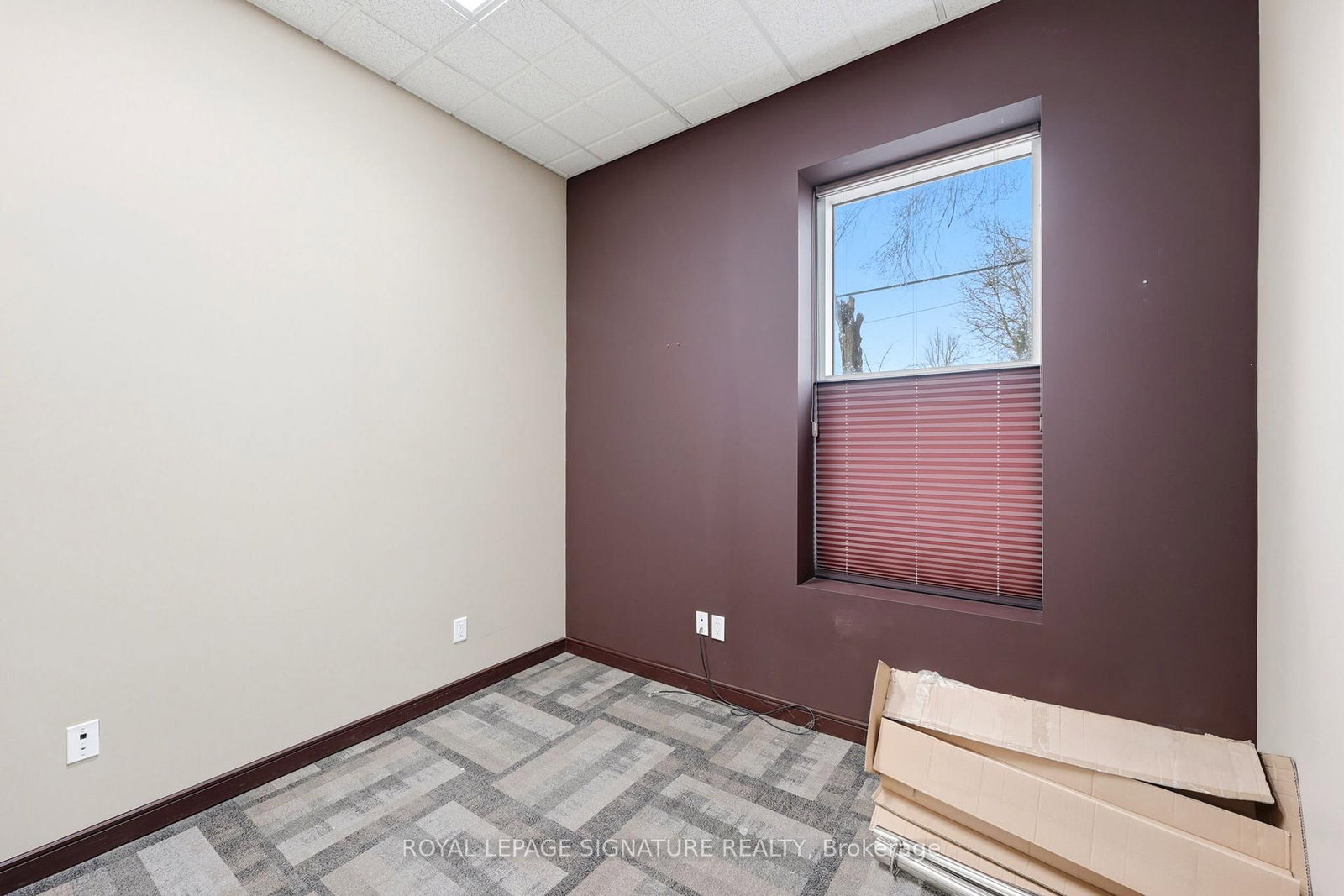 158 Guelph Street - Photo 14