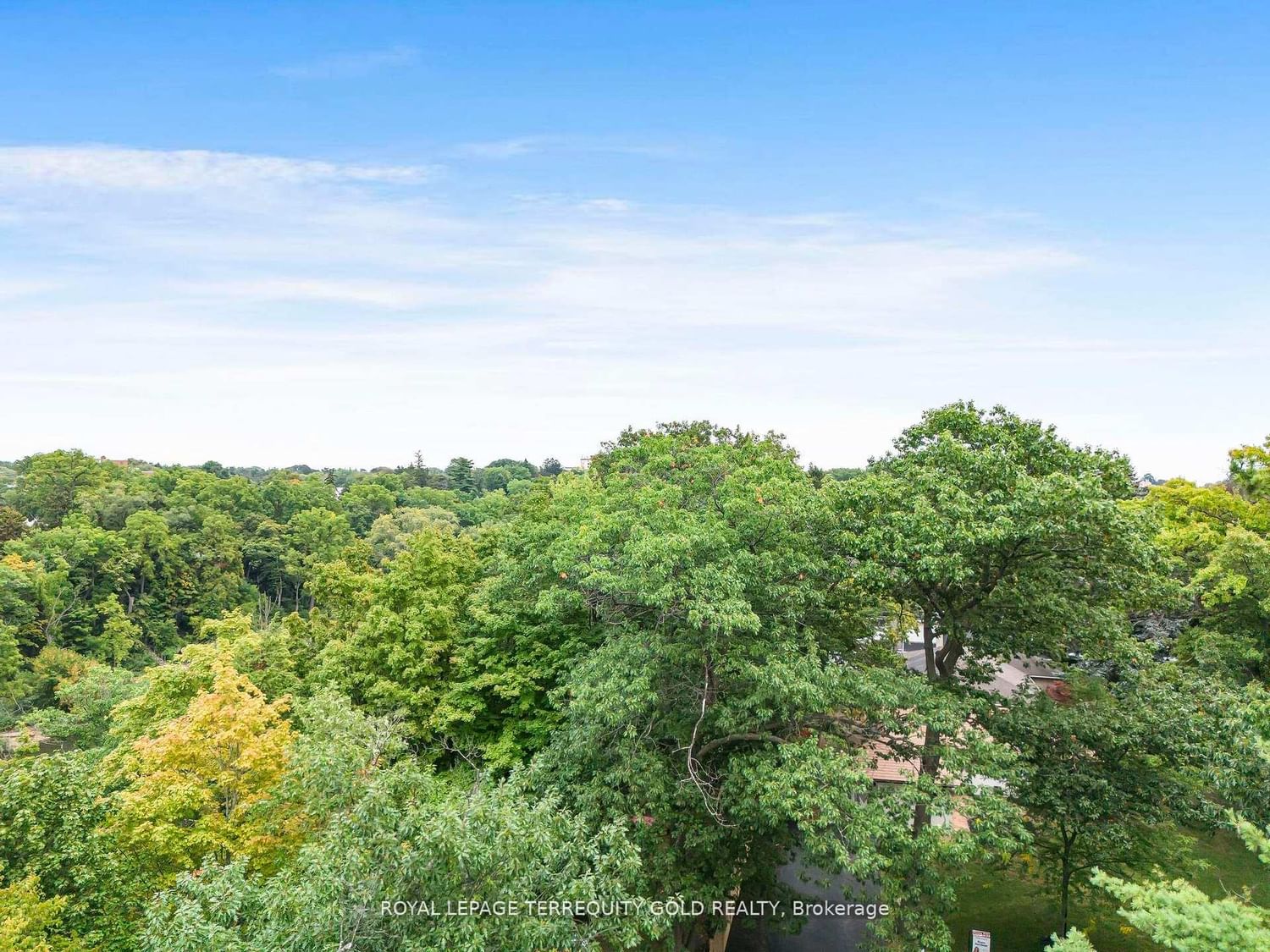 327 River Side Drive - Photo 46